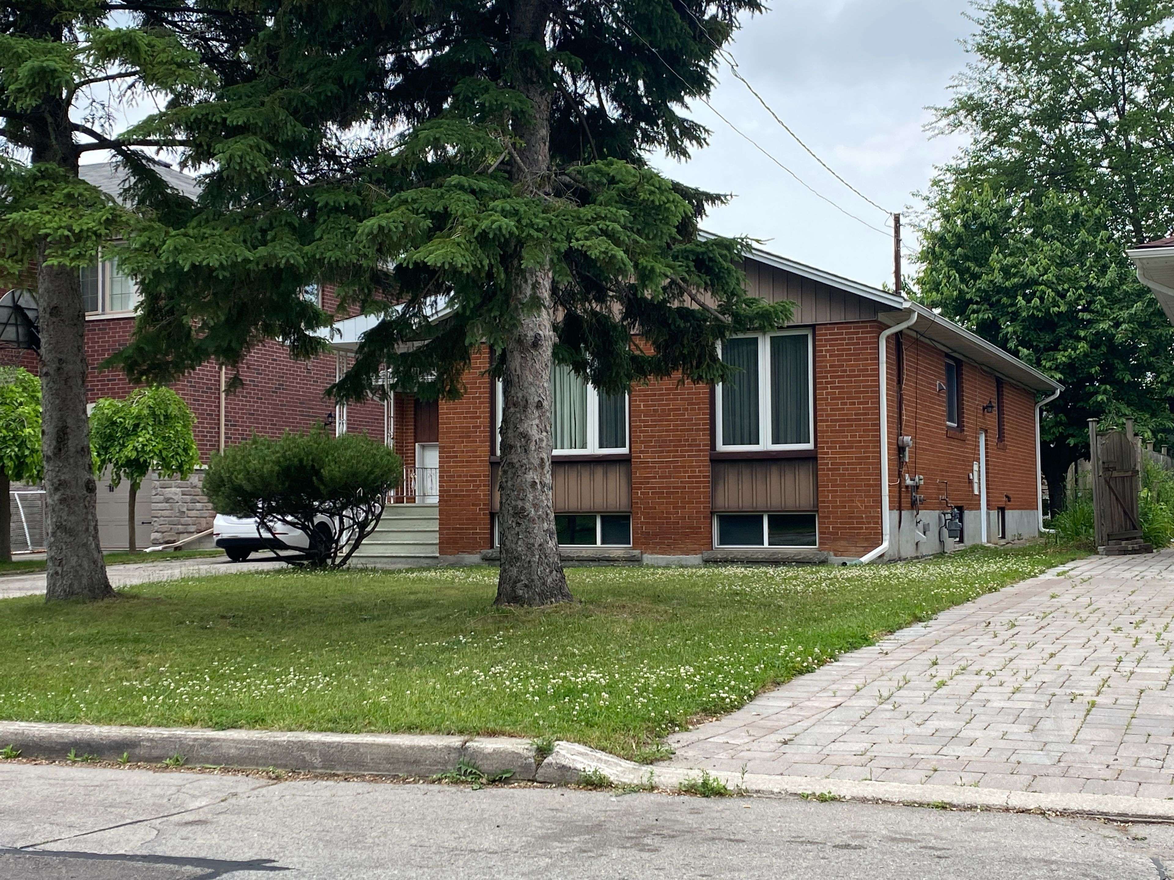 183 Combe AVE #Basement, Toronto C06, ON M3H 4K6