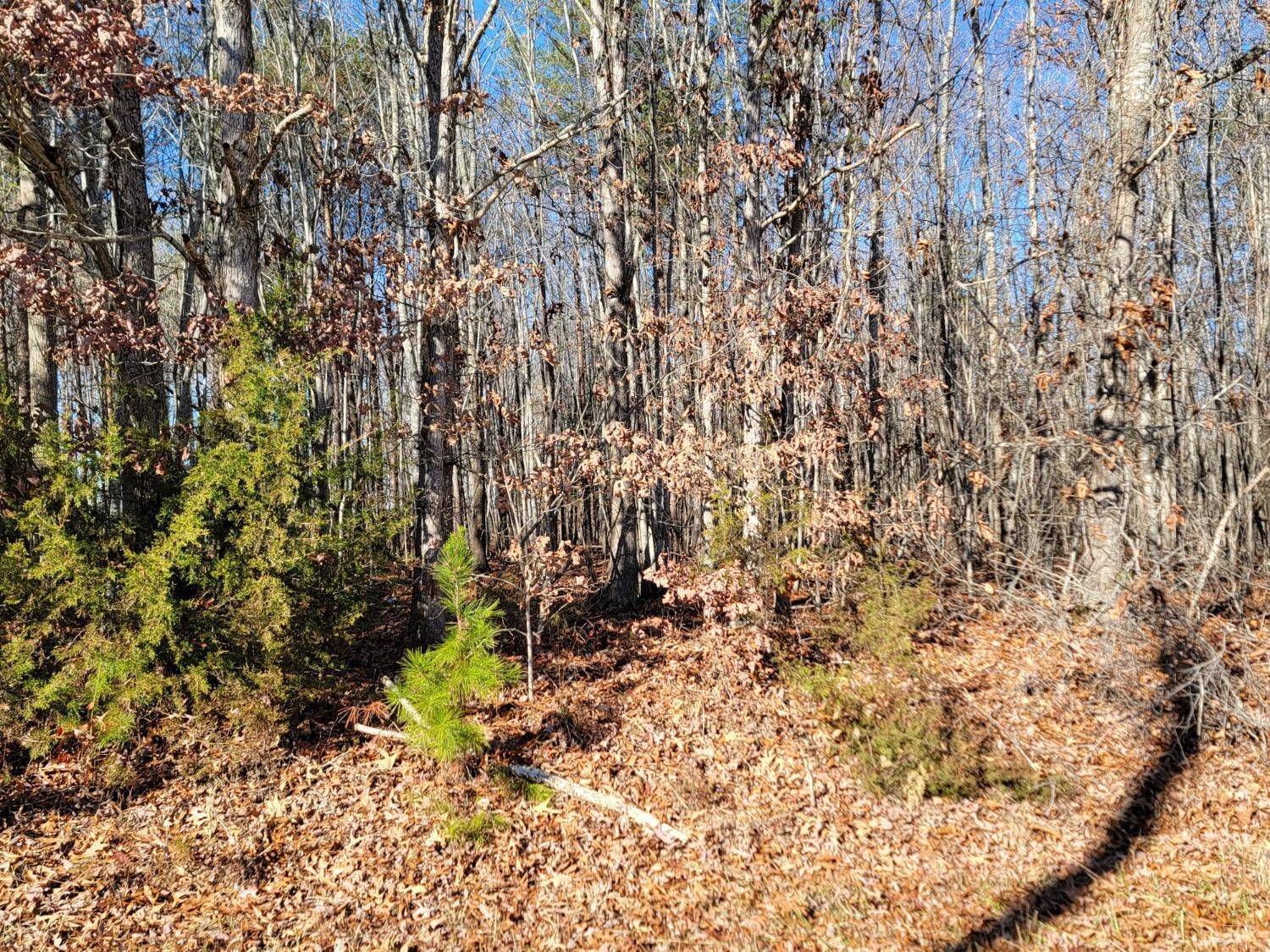 28 Down Creek RD #Lot, Brookneal, VA 24528