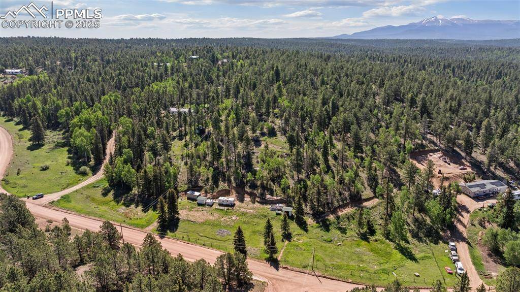 Divide, CO 80814,974 W Bison Creek TRL
