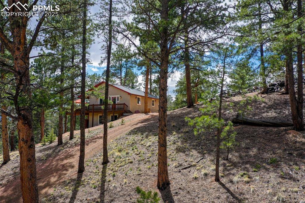 Florissant, CO 80816,185 Wildcat Creek DR