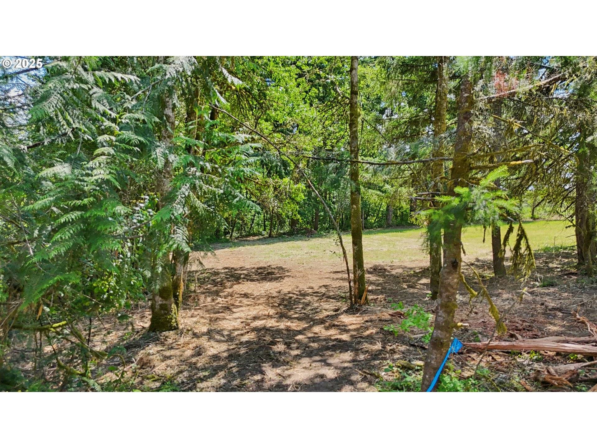 0 NE 279th ST, Battle Ground, WA 98604