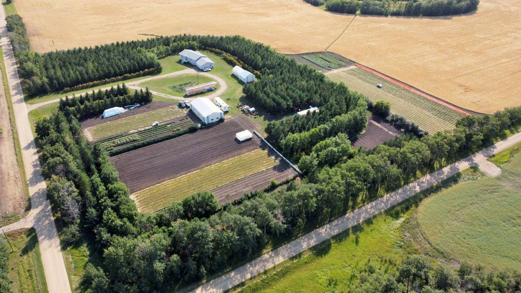 Rural Camrose County, AB T0B 0H0,Range Road 220 #42474