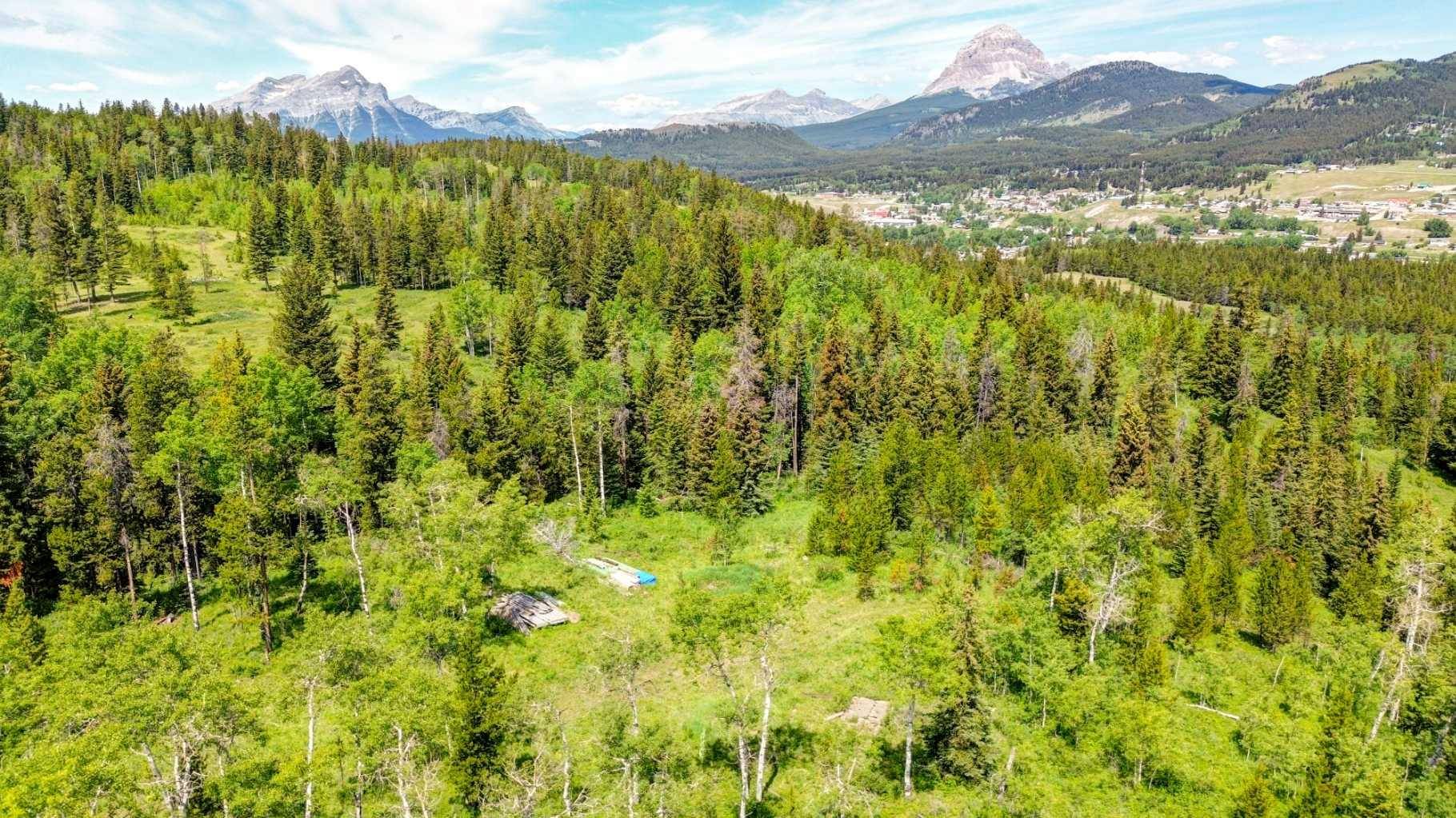 1854 York Creek DR, Blairmore, AB T0K0E0