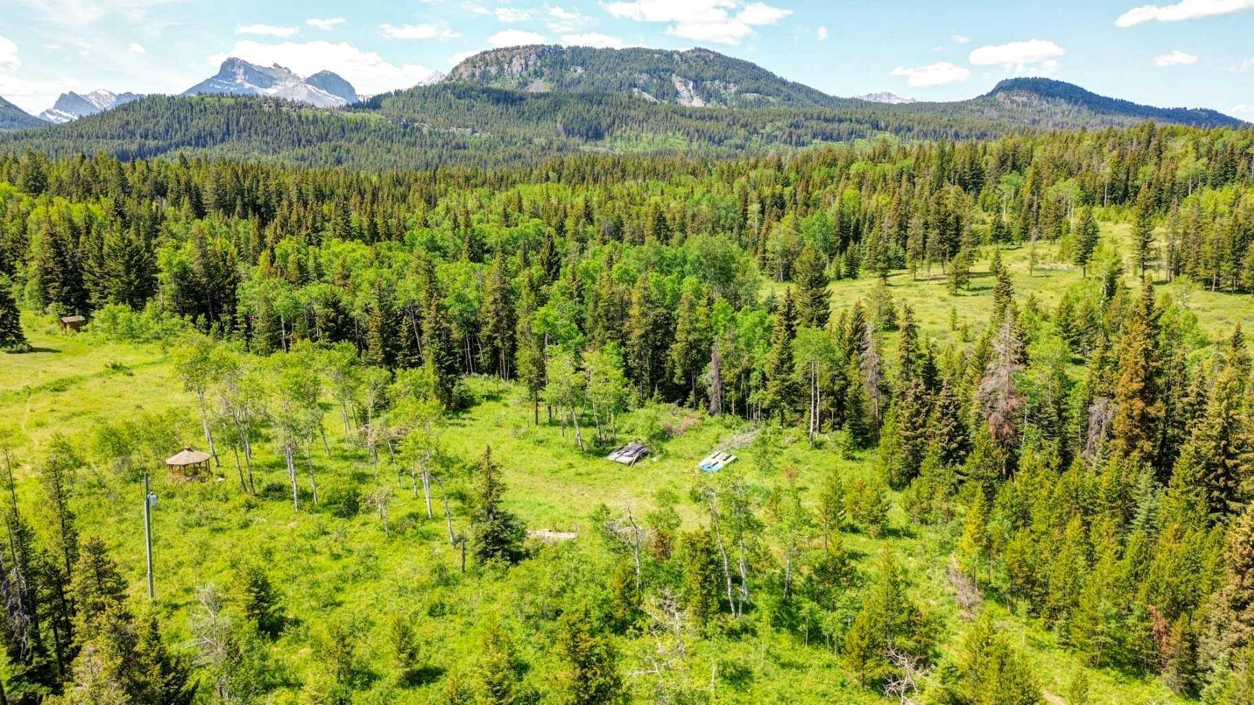 Blairmore, AB T0K0E0,1854 York Creek DR