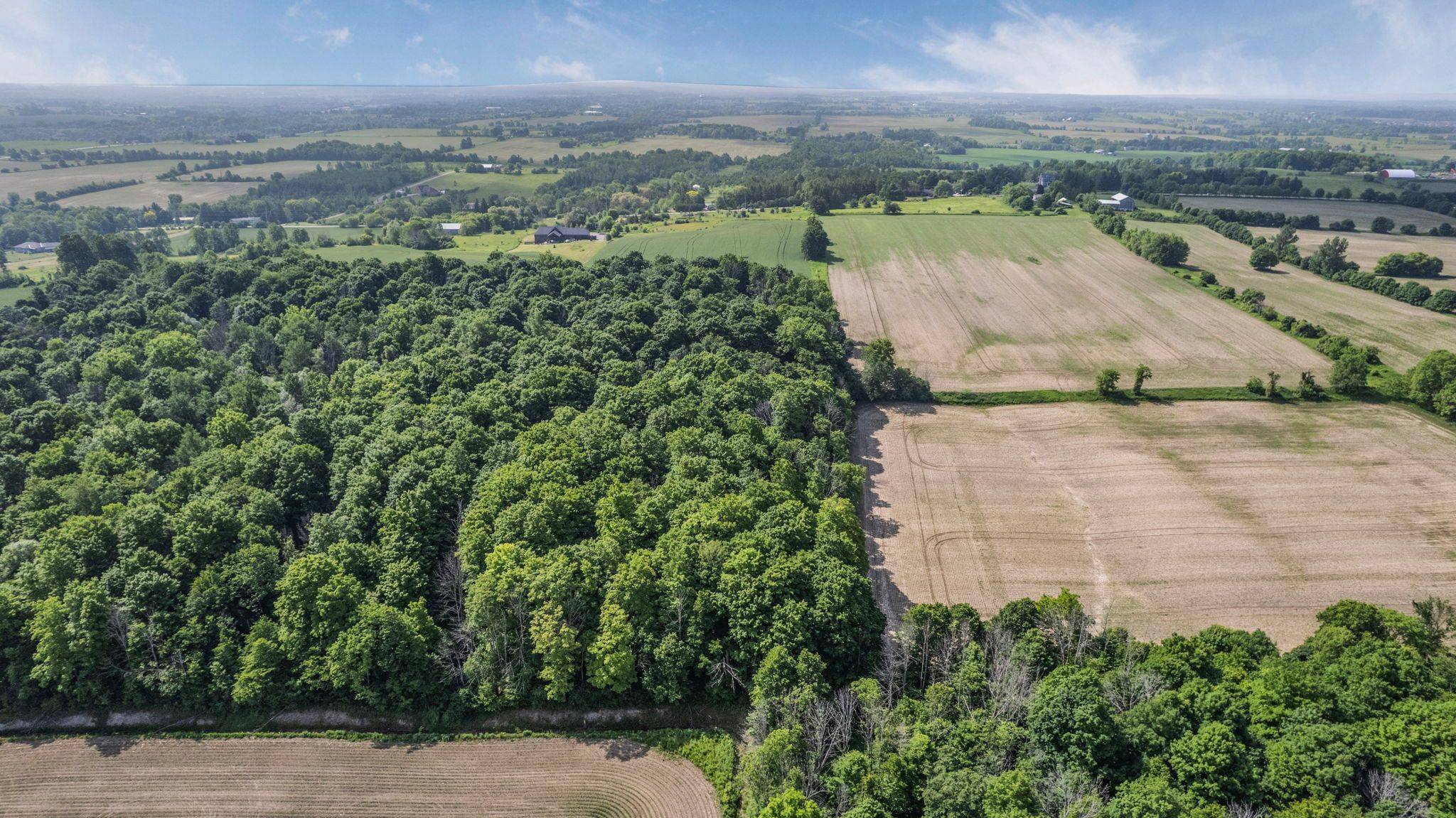 New Tecumseth, ON L0G 1A0,6924 7th Line