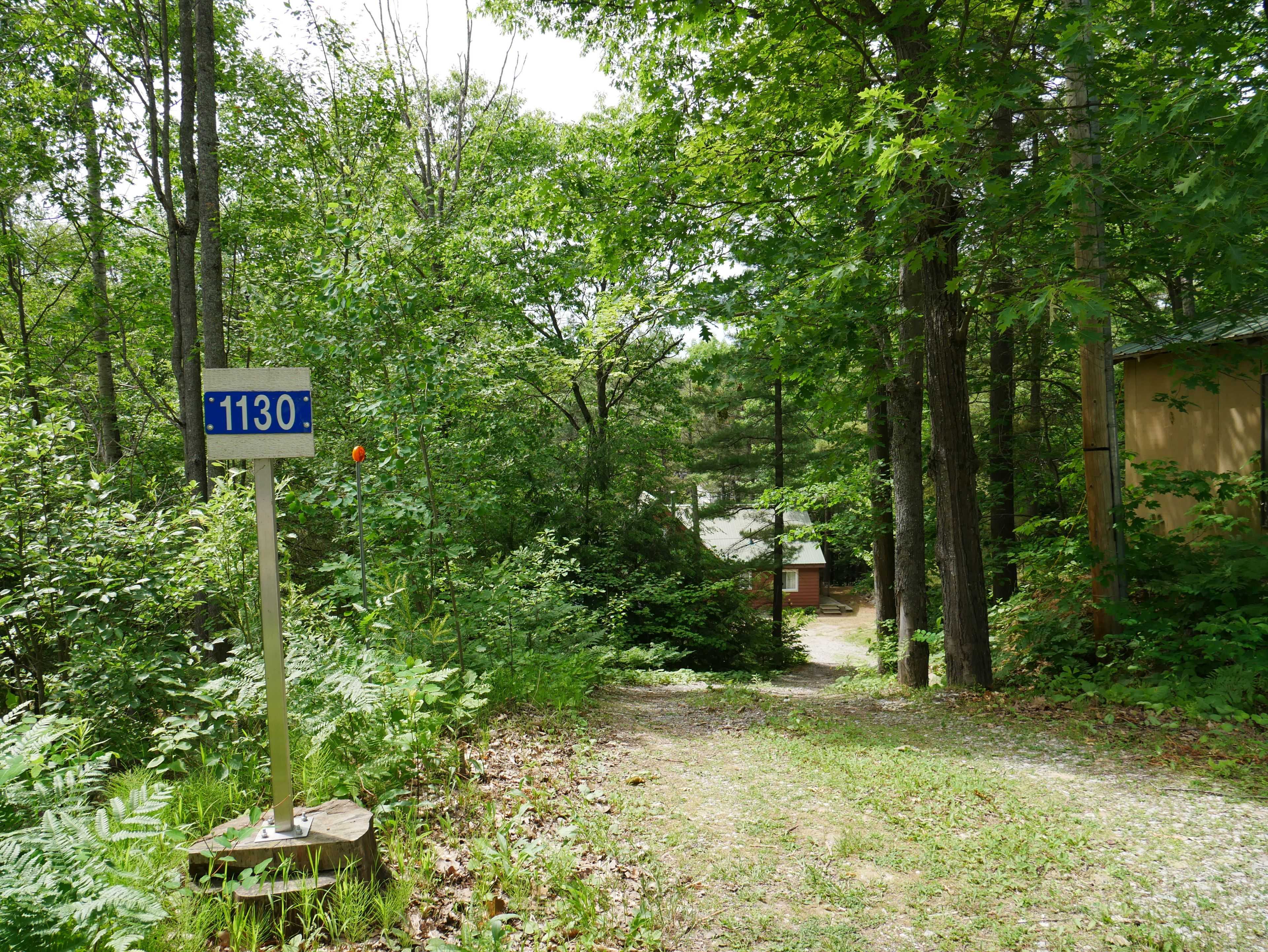 Minden Hills, ON K0M 2L1,1130 Towering Oaks TRL W