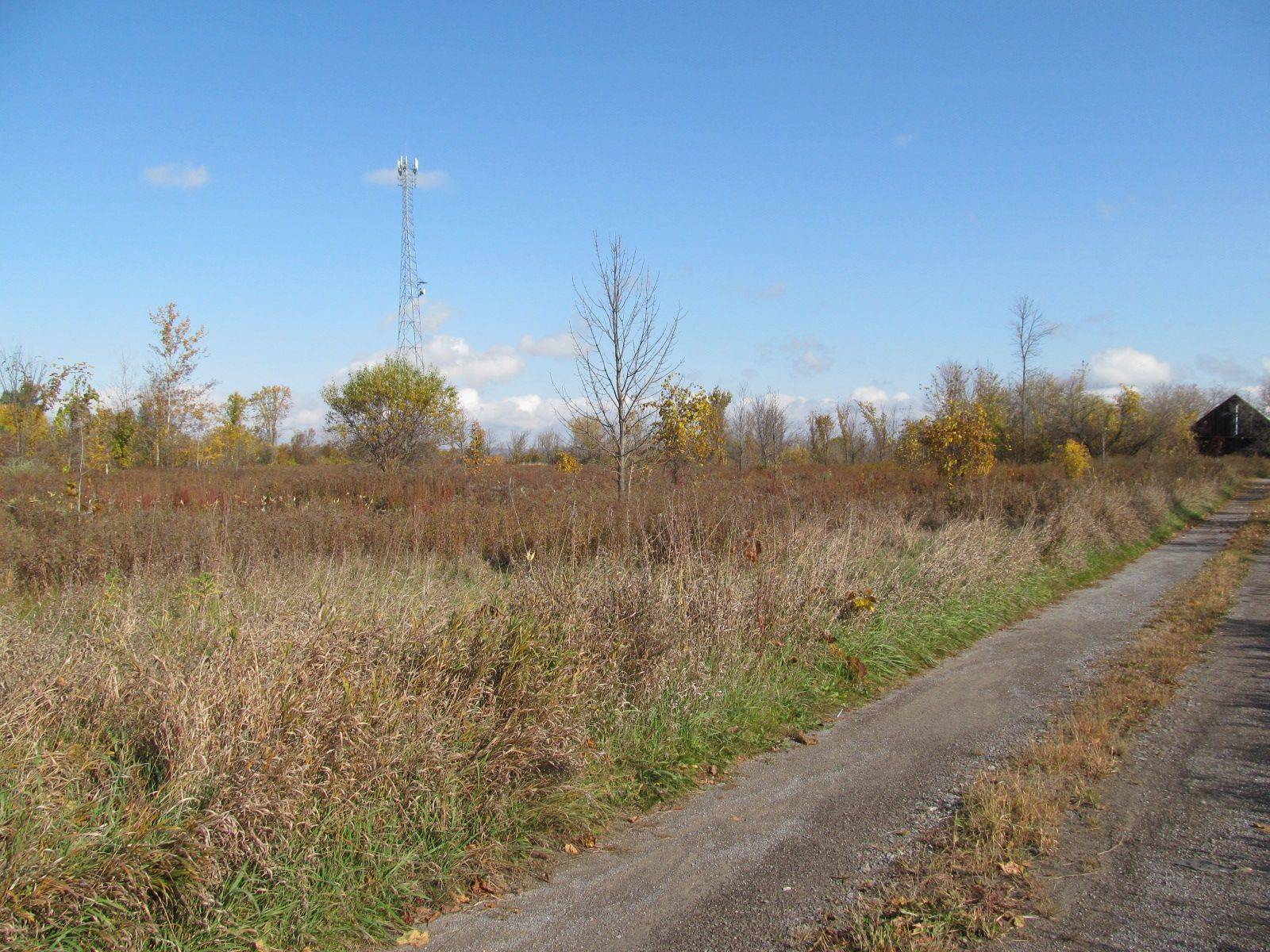 Mcnab/braeside, ON K7S 3G8,454 River RD W