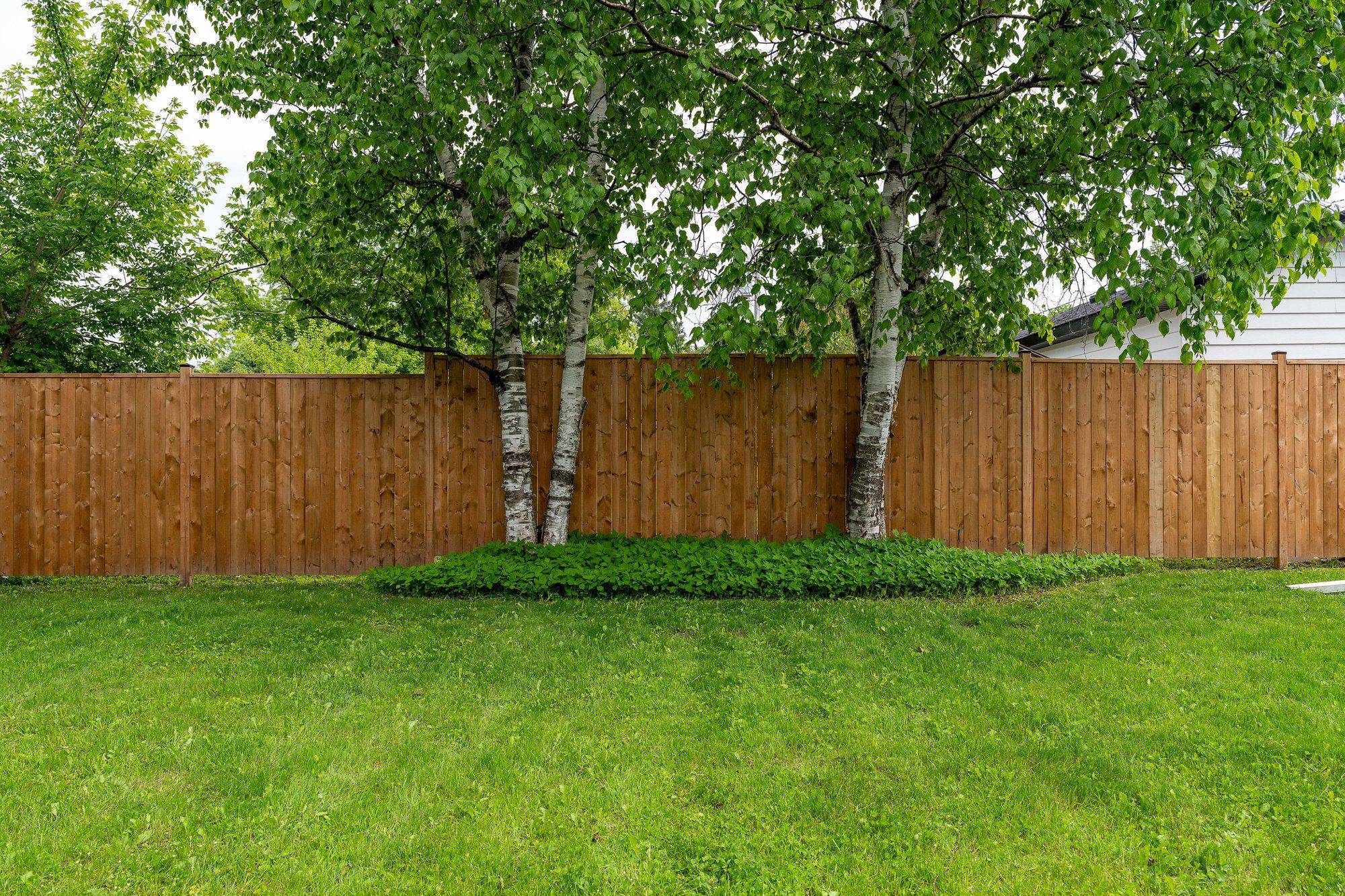 Collingwood, ON L9Y 3V7,167 Peel ST