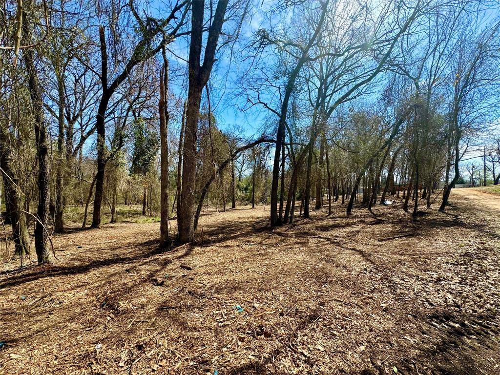 Mabank, TX 75156,000 Plum Street