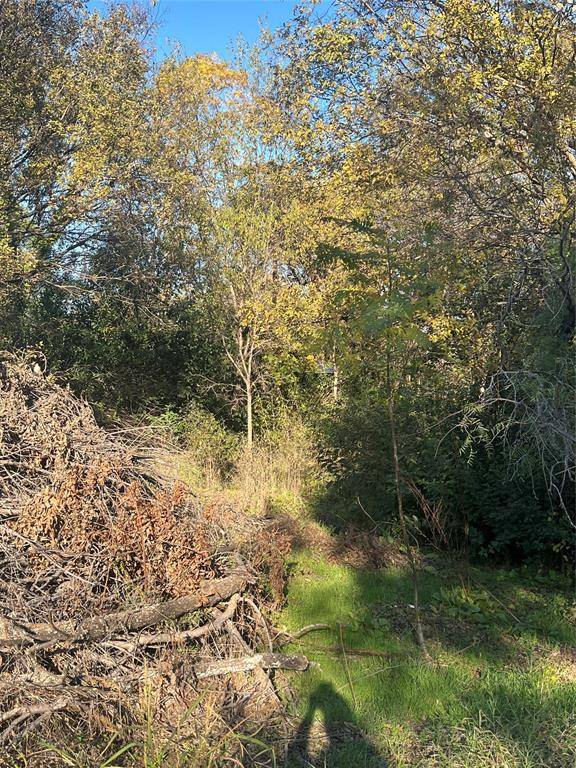 Granbury, TX 76048,3809 HEDGE ROW Street