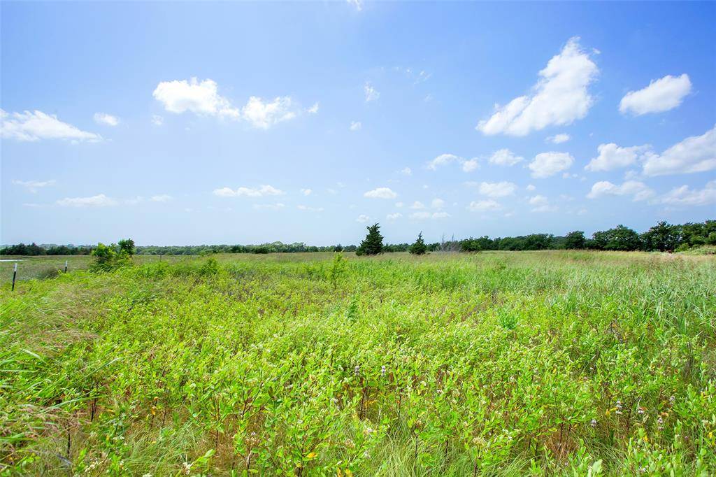 Howe, TX 75459,491 Morrison Road