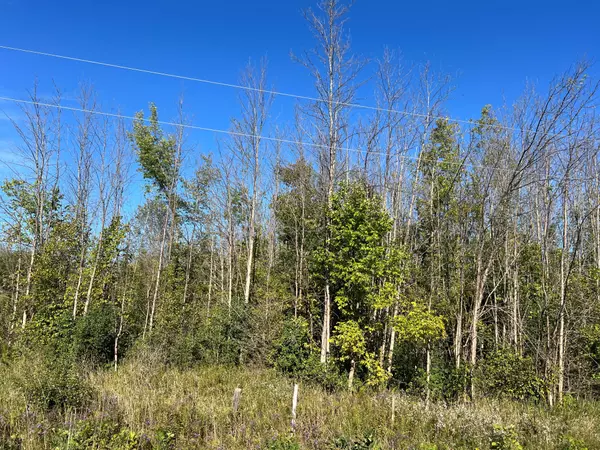 Kincardine, ON N0H 2C5,N 1/2 LT E Bruce Rd 33 RD