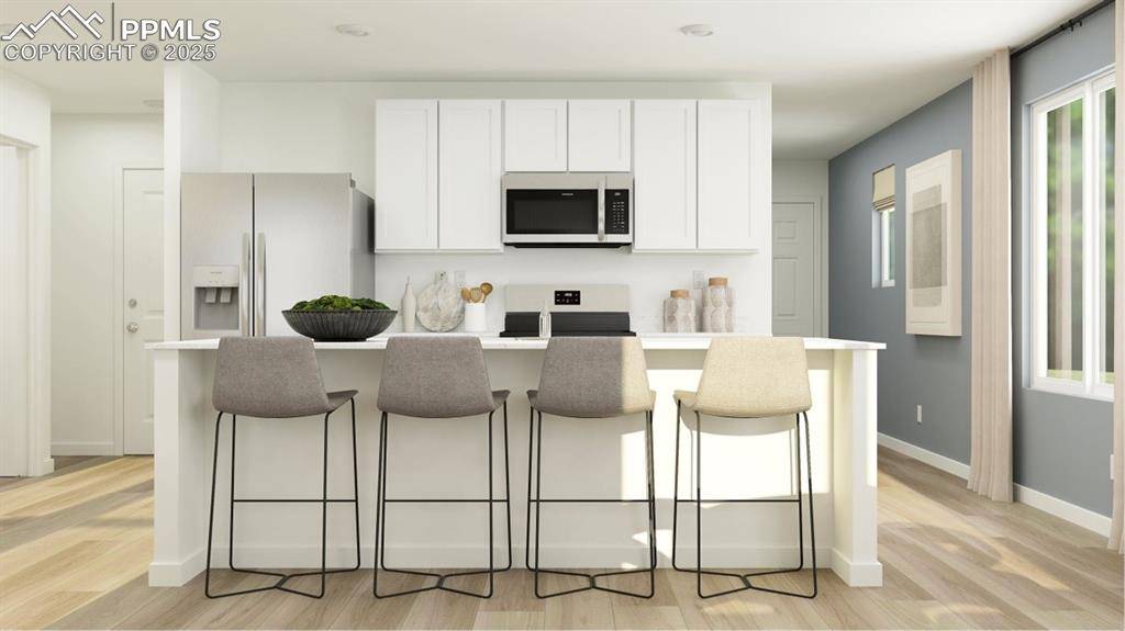 Colorado Springs, CO 80904,1169 Redfish PT