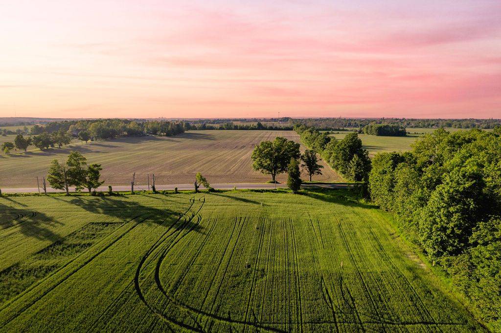 Innisfil, ON L9S 3Z3,LT 14 9th Line