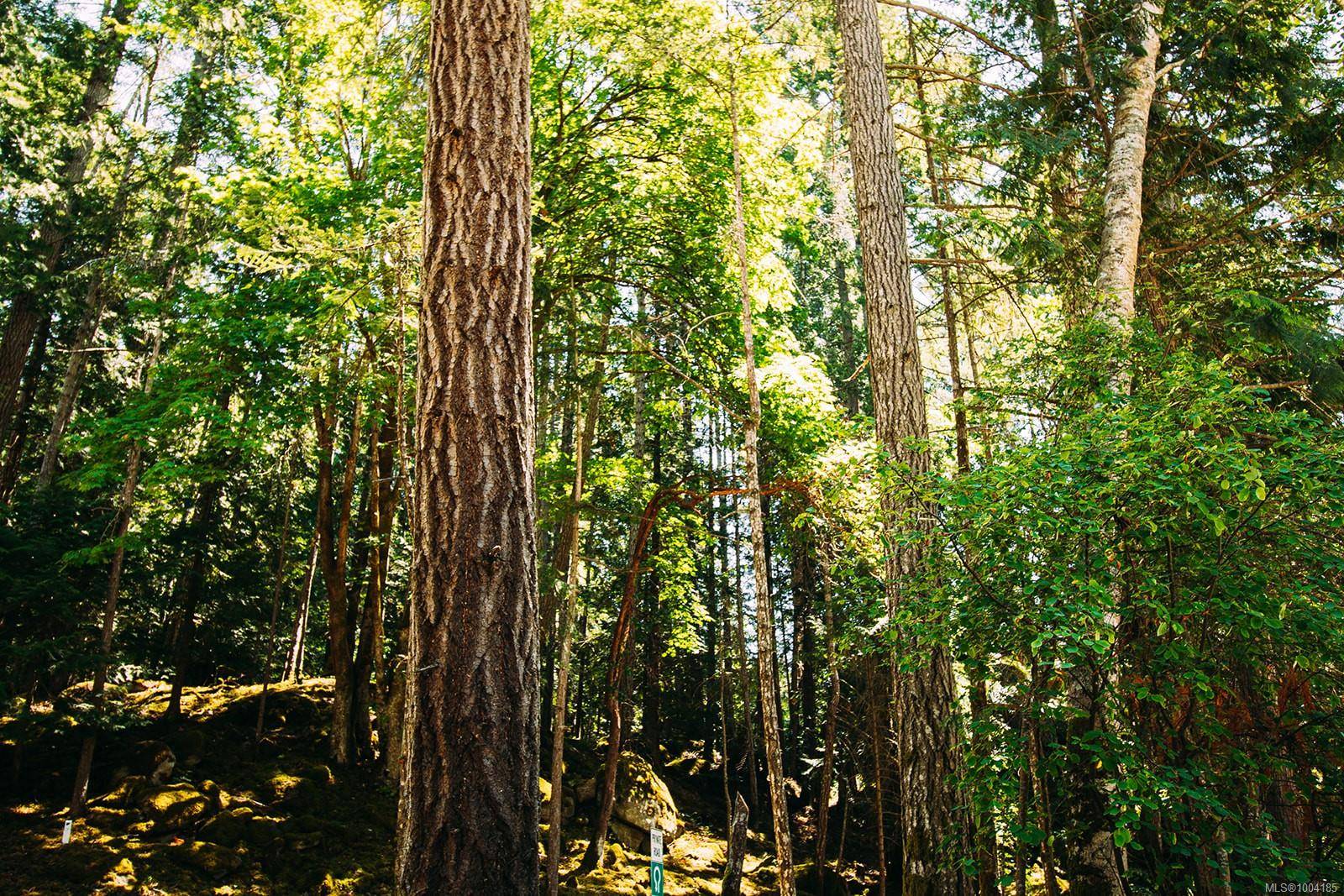 Gabriola Island, BC V0R 1X1,Lt 9 Sitka Grove