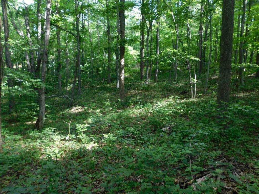 Copper Hill, VA 24079,TBD Scotch Pine Dr