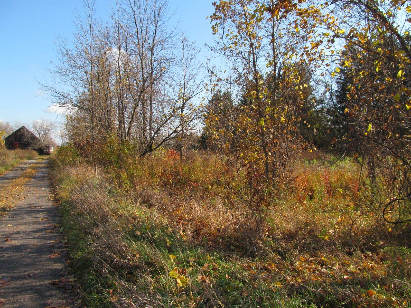 Mcnab/braeside, ON K0A 1G0,454 River RD W