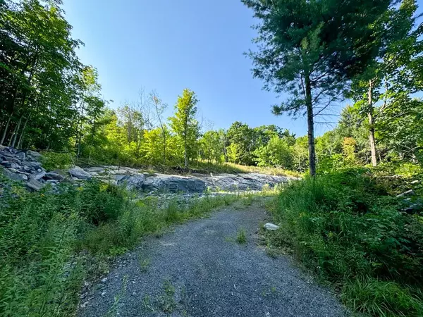 Bracebridge, ON P1P 1R1,1681 MUSKOKA BEACH RD