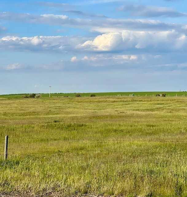NE 16 24 24 w4 RANGE ROAD 243,  Rural Wheatland County,  AB T1P2C5