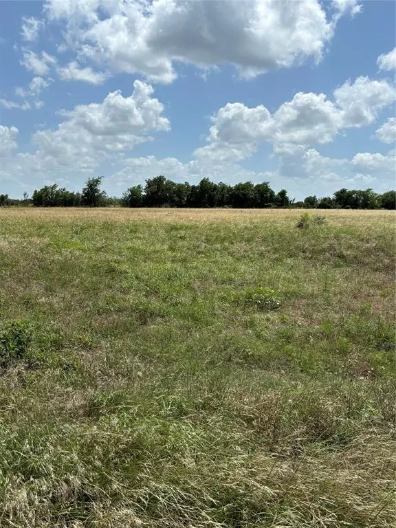 Valley Mills, TX 76689,Lot 9 Chisholm Trail