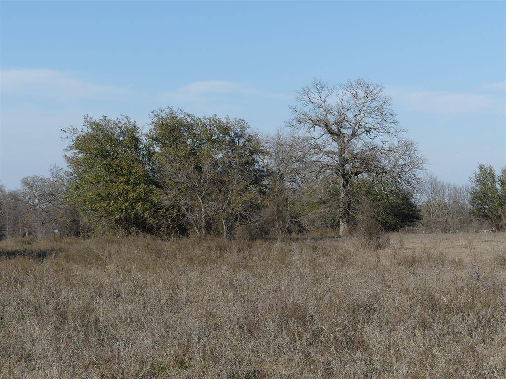Bridgeport, TX 76426,15.01 acres FM 2210
