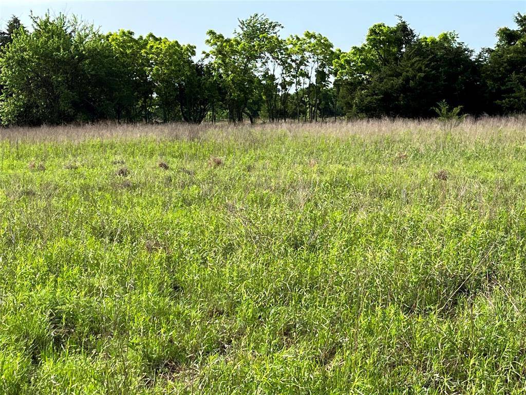 Celeste, TX 75423,3605 County Road 1108