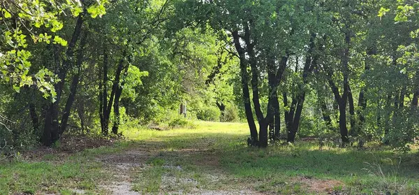 Eastland, TX 76448,1992 County Road 330