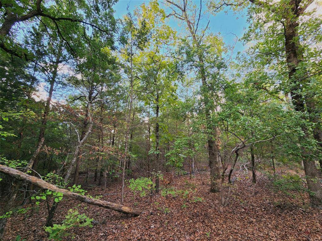 Larue, TX 75770,Lot 465 CR-4710