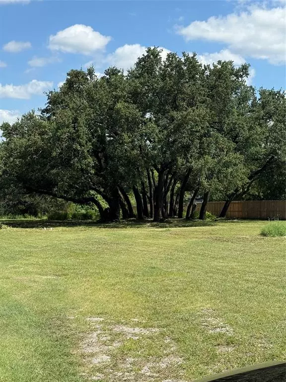 Granbury, TX 76048,905 Mojave Trail