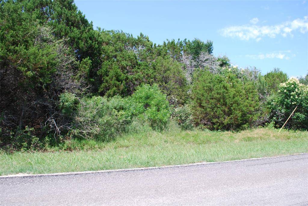 Whitney, TX 76692,43065 Cedar Crest & Coneflower Drive