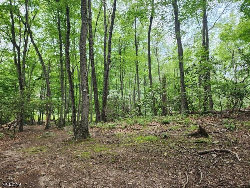 Kinnelon Boro, NJ 07405,3 Christine Ct