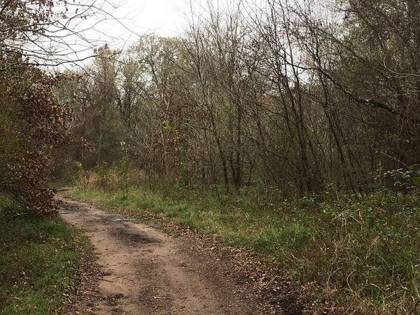 TBD Big Creek, Shepherd, TX 77371