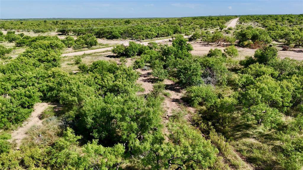 Ballinger, TX 79567,TBD County 131 Road