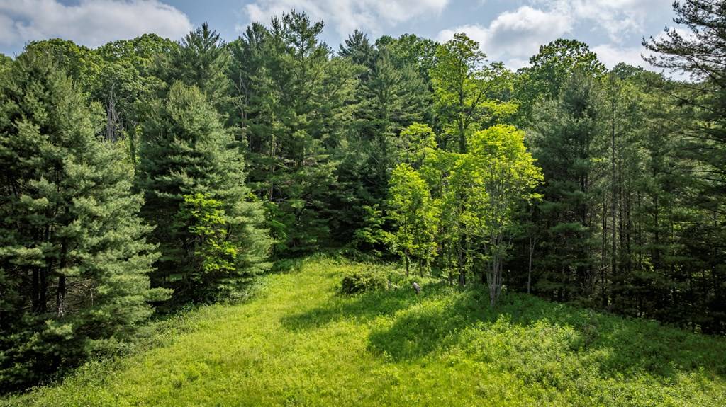 Independence, VA 24348,TBD Old Bridle Creek Dr.