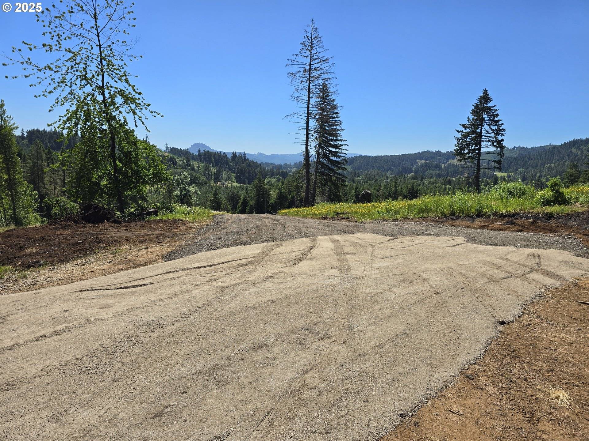 Cottage Grove, OR 97424,3 Blacks DR
