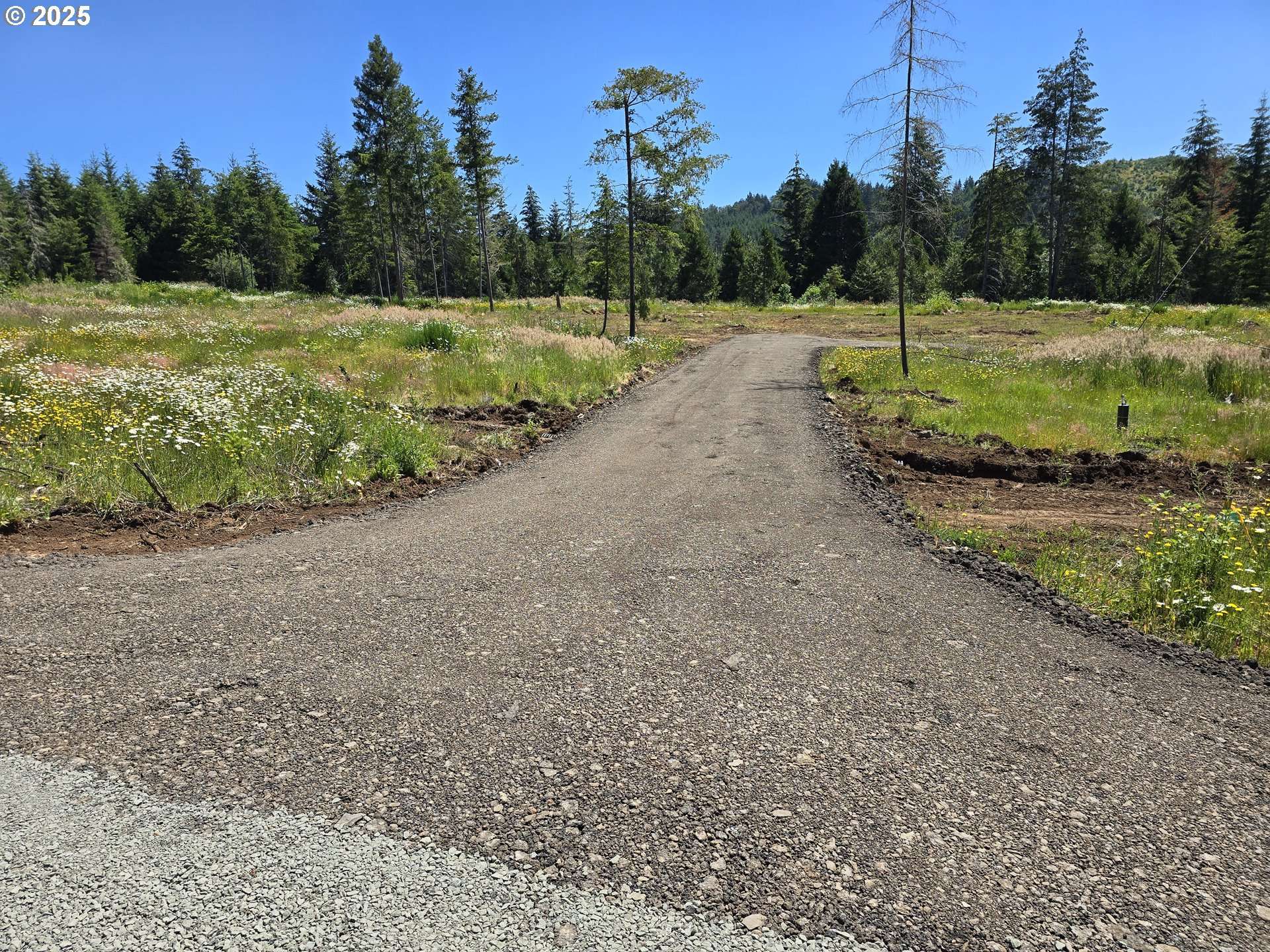 1 Blacks Drive, Cottage Grove, OR 97424