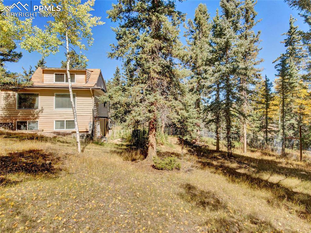 Florissant, CO 80816,7 Castle Peak LN