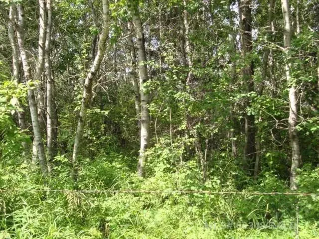Brightsand Lake, SK S0M 0H0,Parcel D MARIE HANSON RD
