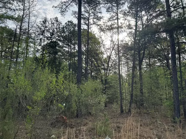 Gilmer, TX 75645,TBD Bobwhite Road