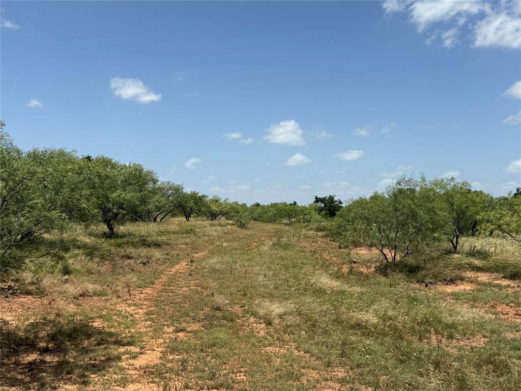 Newcastle, TX 76372,X S Furr Road