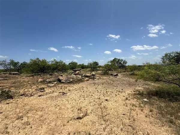 Newcastle, TX 76372,X S Furr Road