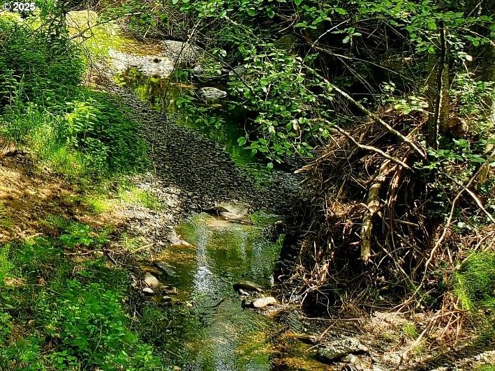 Myrtle Creek, OR 97457,464 HOMESTEAD DR