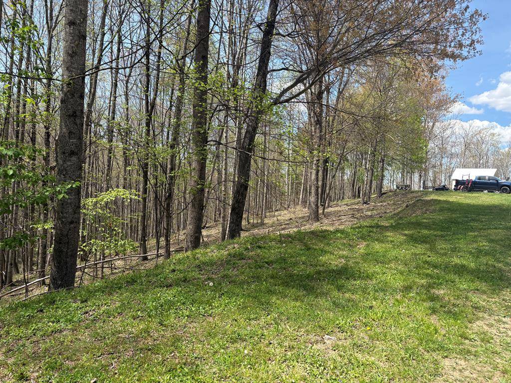 Swords Creek, VA 24649,3327 Horton Ridge Rd