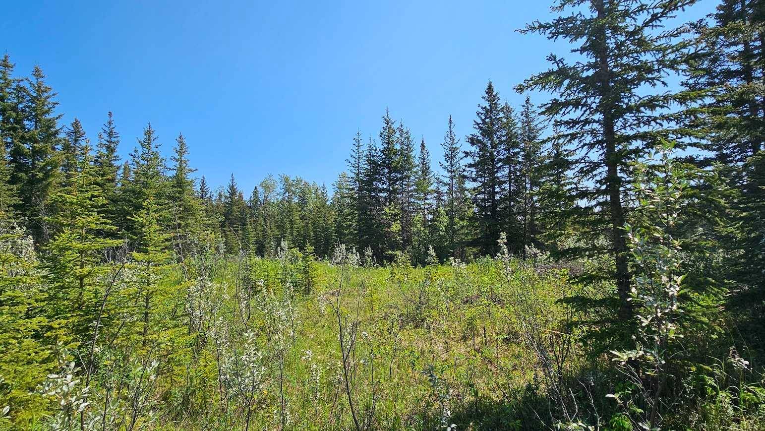 Rural Mountain View County, AB T0M 1X0,34364 Range Road 42 #4