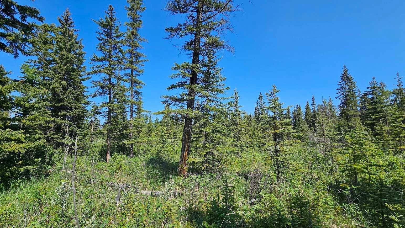Rural Mountain View County, AB T0M 1X0,34364 Range Road 42 #12