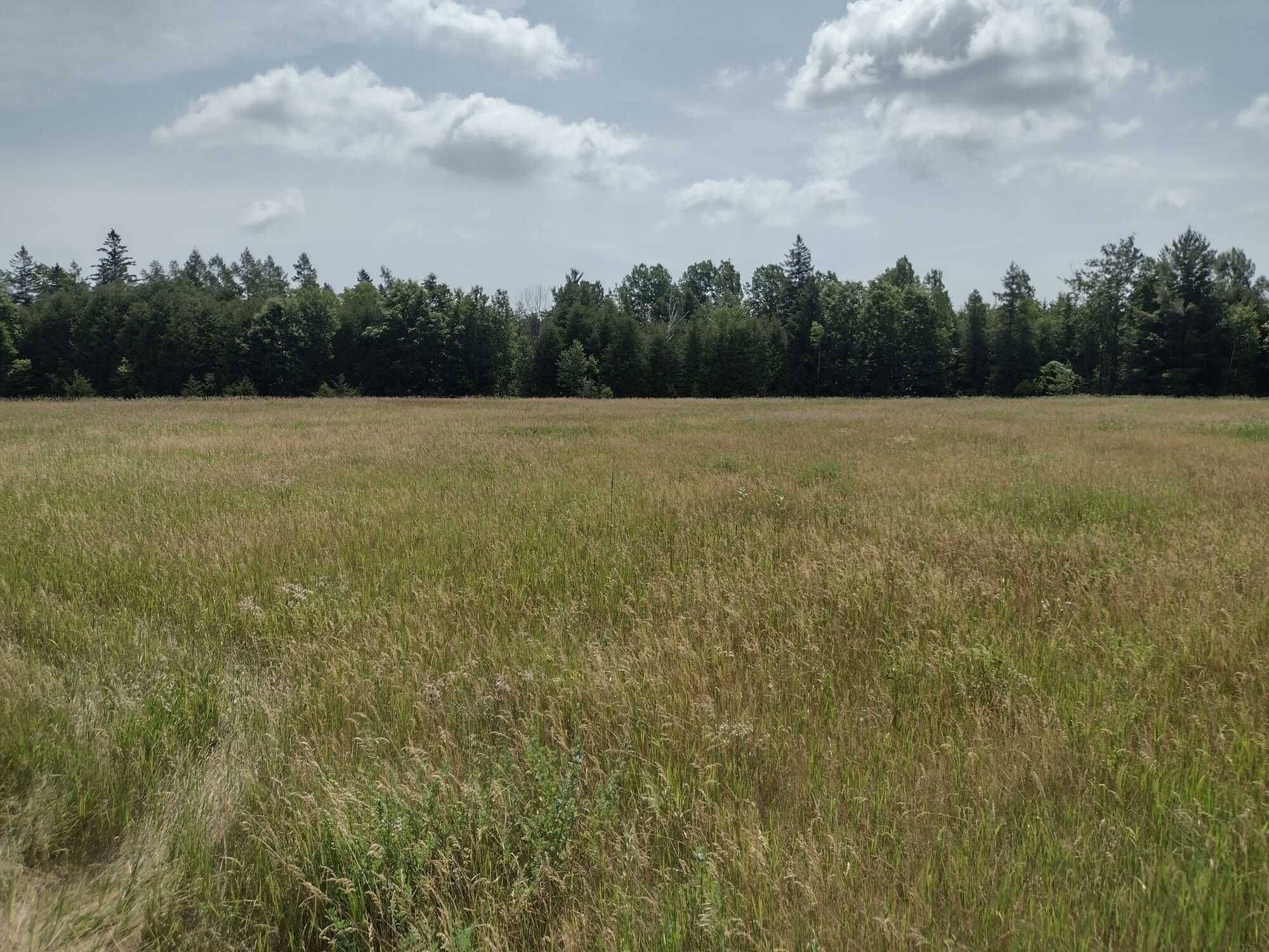 Quinte West, ON K0K 3M0,0 Teal RD #Lot 1