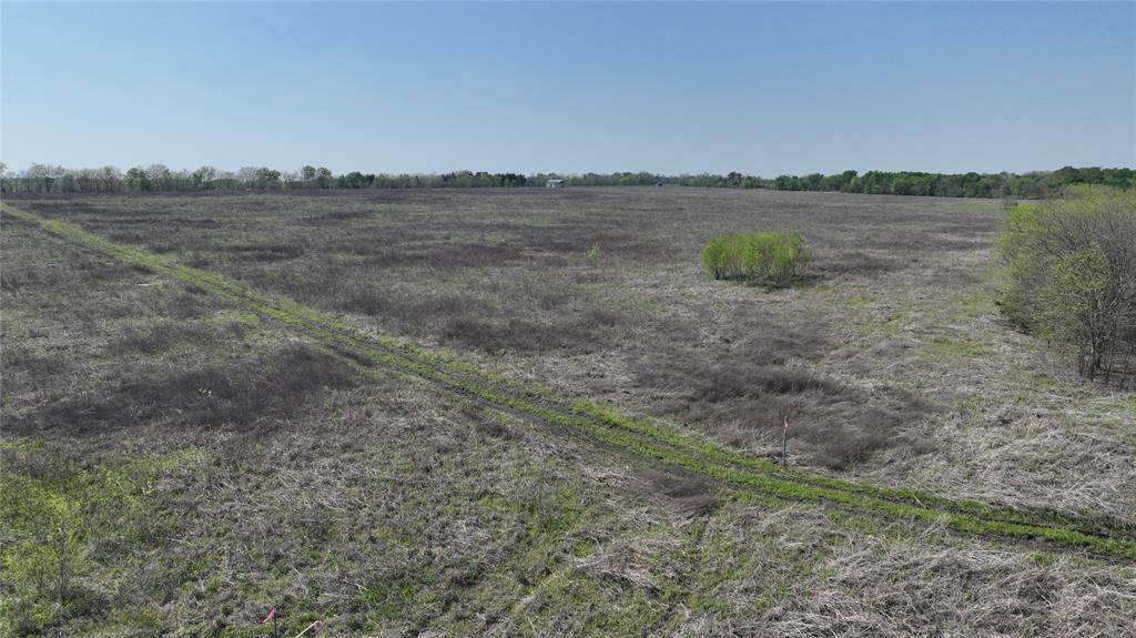 Honey Grove, TX 75446,Tract 5 County Road 3520