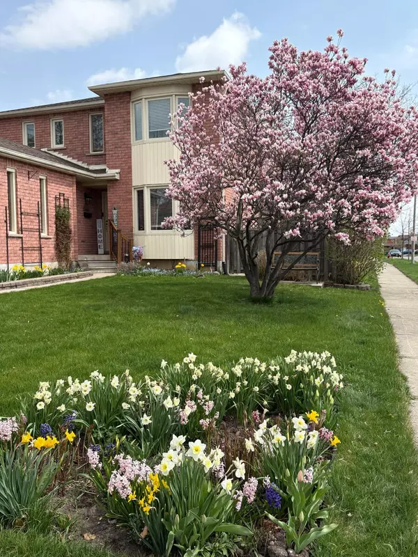 Brampton, ON L6X 3T4,262 Murray ST