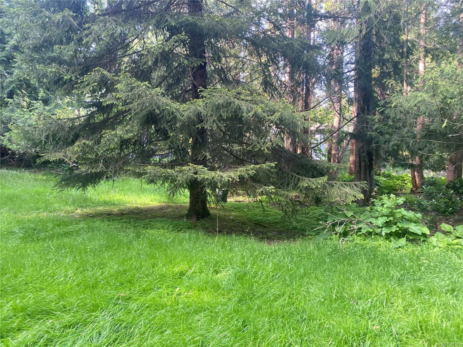 Shawnigan Lake, BC V0R 2W1,2191 Renfrew Rd
