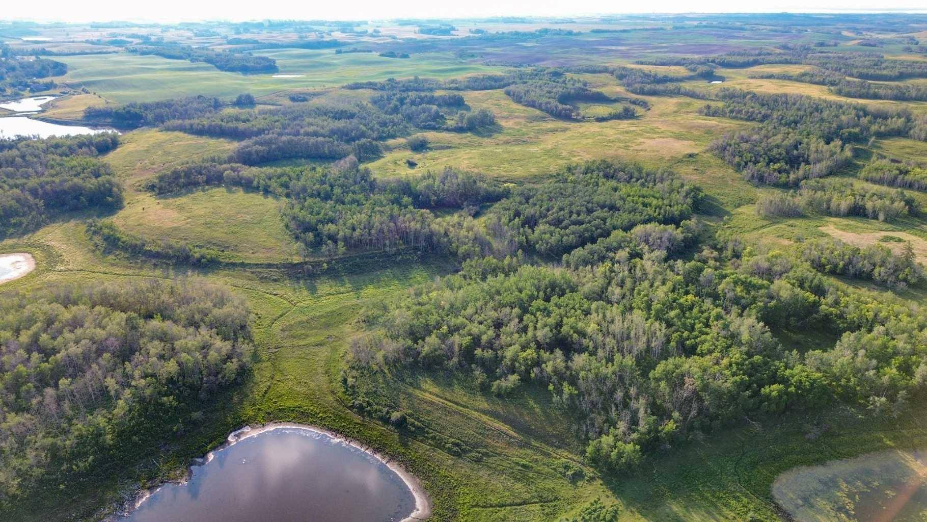 Rural Stettler No. 6 County Of, AB T0C 2L0,On Hwy 601